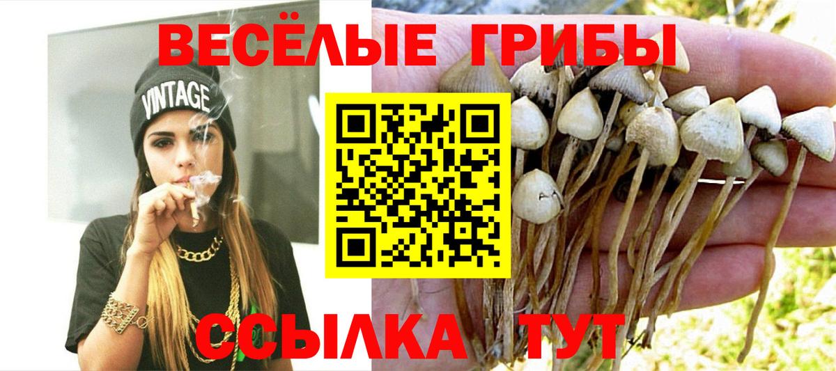 Галлюциногенные грибы мухоморы  дарнет шоп  Нерюнгри  Галлюциногенные грибы MAGIC MUSHROOMS  Вход с VPN 